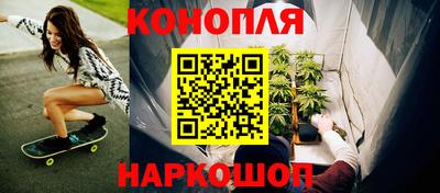 шишки Ставрополь