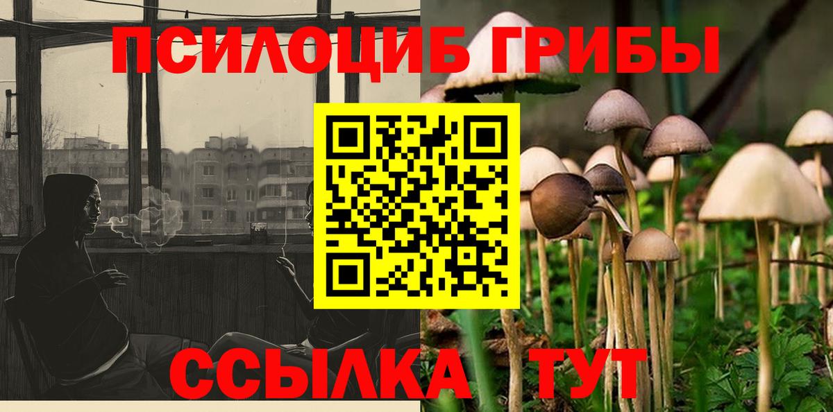 Псилоцибиновые грибы прущие грибы  где можно купить наркотик  Вятские Поляны  Вход с VPN 