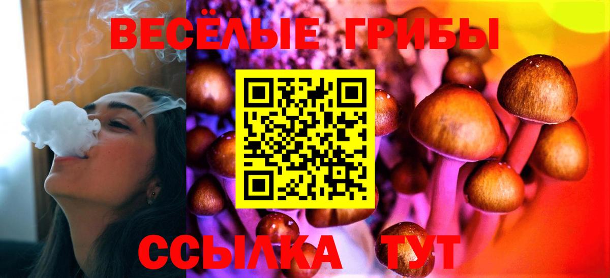 Галлюциногенные грибы мицелий Вятские Поляны