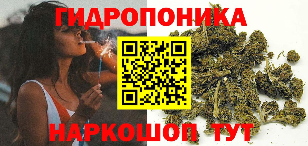Вятские Поляны  Бошки марихуана White Widow  Вход с VPN  Каннабис OG Kush  Бошки марихуана план 